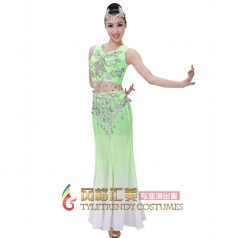 北京出售新款浅绿色傣族舞蹈演出服装 舞蹈表演服装可定制
