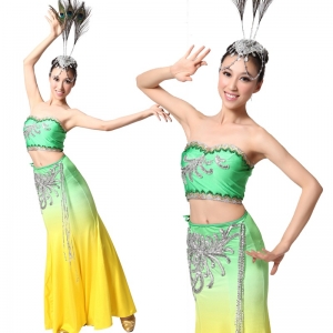 新款女士傣族舞蹈服装 民族服装 舞台演出服装表演服装