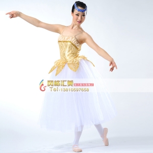 新款芭蕾舞台演出服装女式舞台服定做_风格汇美演出服饰