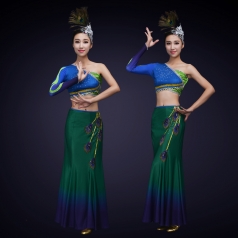 新款少数民族舞蹈服装女款塑身傣族舞蹈演出服装孔雀舞服定制！