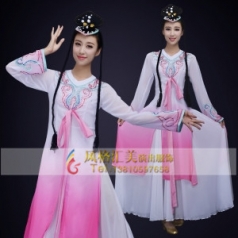 经典剧目《彩蝶飞舞》舞蹈演出服装粉色艺考女款舞蹈表演服装舞台演出服装定制！