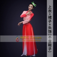 经典剧目《孔雀东南飞》舞蹈服装女款成人艺考粉色舞台演出服定制款式中国古风服装定制！